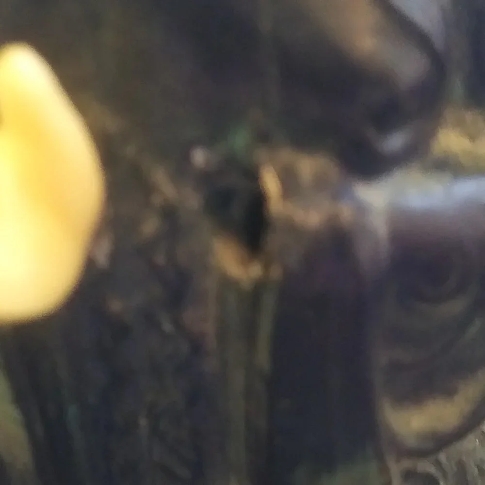 Heavy Bookends Pierrot Clown Mime Book Ends stone  Base Very old  Art Deco FLAWS - Picture 8 of 15